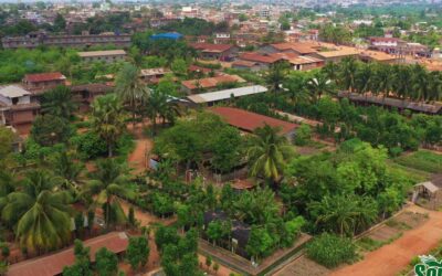 The Songhai Microbiology Laboratory Initiative